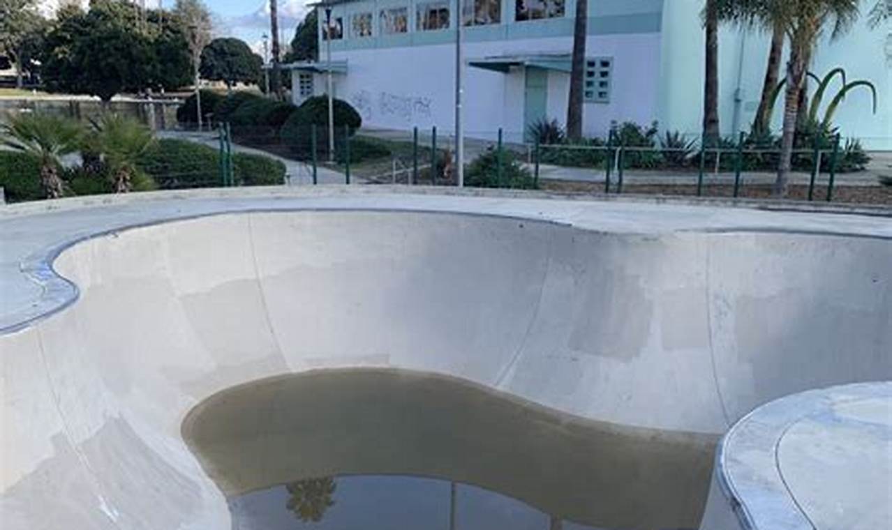 Visit Alondra Skate Park: Your Guide to Skateboarding Fun! Learn to Surf & Skate: A Beginner's Step-by-Step Guide Visit Alondra Skate Park: Your Guide to Skateboarding Fun! | Learn to Surf & Skate: A Beginner's Step-by-Step Guide