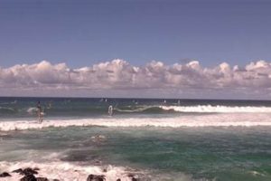 Maui's Hookipa Surf Report: Waves & Wind Now! Learn to Surf & Skate: A Beginner's Step-by-Step Guide Maui's Hookipa Surf Report: Waves & Wind Now! | Learn to Surf & Skate: A Beginner's Step-by-Step Guide