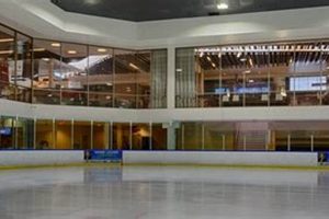 Global UTC Ice Skate: Sync Your Skate Time! Learn to Surf & Skate: A Beginner's Step-by-Step Guide Global UTC Ice Skate: Sync Your Skate Time! | Learn to Surf & Skate: A Beginner's Step-by-Step Guide