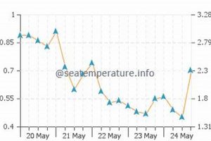 Your Surf City Weather Forecast: Get Pitted! Learn to Surf & Skate: A Beginner's Step-by-Step Guide Your Surf City Weather Forecast: Get Pitted! | Learn to Surf & Skate: A Beginner's Step-by-Step Guide
