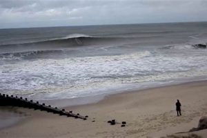 Live Bay Head Surf Cam: Check Conditions + Forecast Learn to Surf & Skate: A Beginner's Step-by-Step Guide Live Bay Head Surf Cam: Check Conditions + Forecast | Learn to Surf & Skate: A Beginner's Step-by-Step Guide