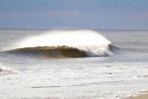 Gilgo Surf Report: [Today's Conditions] Get Waves! | Learn to Surf & Skate: A Beginner's Step-by-Step Guide