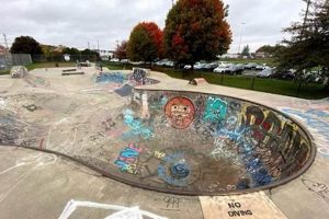 Visit Alexander Jordan Jamieson Skate Park - A Memorial Spot Learn to Surf & Skate: A Beginner's Step-by-Step Guide Visit Alexander Jordan Jamieson Skate Park - A Memorial Spot | Learn to Surf & Skate: A Beginner's Step-by-Step Guide