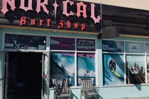 Your Guide to NorCal Surf Shop: Gear, Rentals & More! Learn to Surf & Skate: A Beginner's Step-by-Step Guide Your Guide to NorCal Surf Shop: Gear, Rentals & More! | Learn to Surf & Skate: A Beginner's Step-by-Step Guide