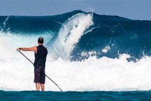 Your Seaside Surf Report HQ: Beach & Wave Info Learn to Surf & Skate: A Beginner's Step-by-Step Guide Your Seaside Surf Report HQ: Beach & Wave Info | Learn to Surf & Skate: A Beginner's Step-by-Step Guide