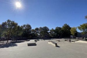 Explore London Planetree Skate Park: A Local Gem! Learn to Surf & Skate: A Beginner's Step-by-Step Guide Explore London Planetree Skate Park: A Local Gem! | Learn to Surf & Skate: A Beginner's Step-by-Step Guide