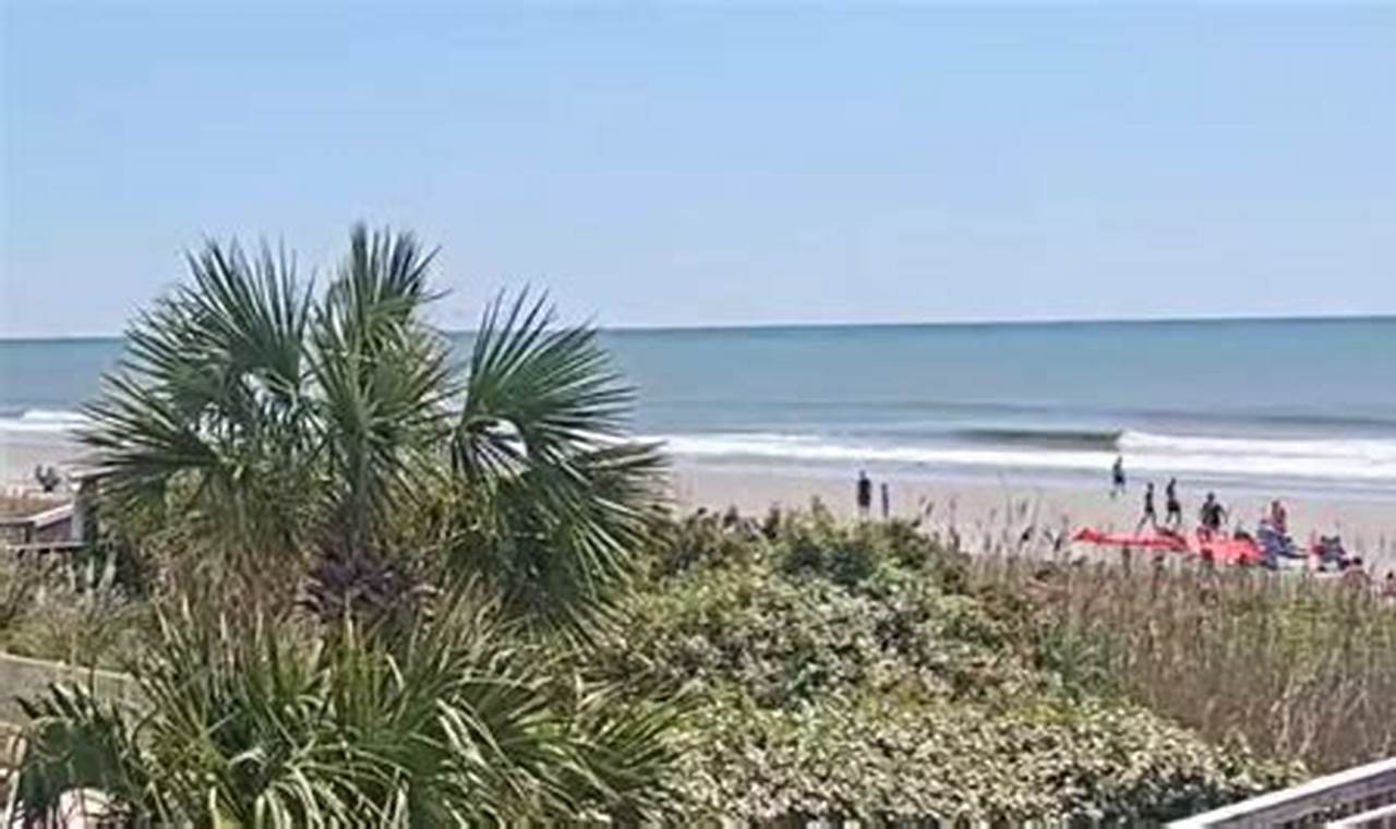 Surfside Beach Surf Report: Waves & Weather Now Learn to Surf & Skate: A Beginner's Step-by-Step Guide Surfside Beach Surf Report: Waves & Weather Now | Learn to Surf & Skate: A Beginner's Step-by-Step Guide