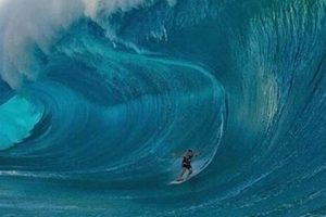 Epic Surf Huge Wave Rides: Conquer the Ocean's Giants! Learn to Surf & Skate: A Beginner's Step-by-Step Guide Epic Surf Huge Wave Rides: Conquer the Ocean's Giants! | Learn to Surf & Skate: A Beginner's Step-by-Step Guide