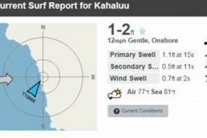 Your Kahaluu Surf Report: Waves, Weather & More! Learn to Surf & Skate: A Beginner's Step-by-Step Guide Your Kahaluu Surf Report: Waves, Weather & More! | Learn to Surf & Skate: A Beginner's Step-by-Step Guide