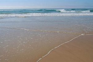 Tune In: The Surf Radio Station Myrtle Beach Waves Learn to Surf & Skate: A Beginner's Step-by-Step Guide Tune In: The Surf Radio Station Myrtle Beach Waves | Learn to Surf & Skate: A Beginner's Step-by-Step Guide
