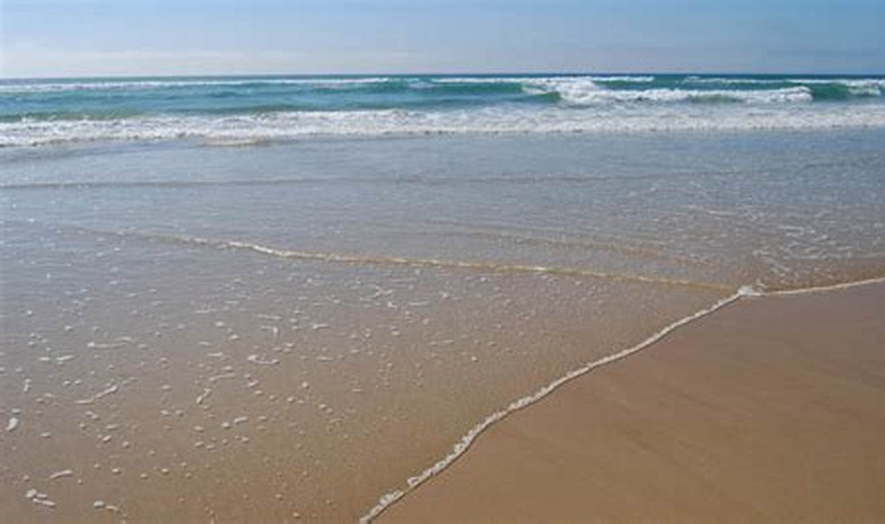Tune In: The Surf Radio Station Myrtle Beach Waves Learn to Surf & Skate: A Beginner's Step-by-Step Guide Tune In: The Surf Radio Station Myrtle Beach Waves | Learn to Surf & Skate: A Beginner's Step-by-Step Guide