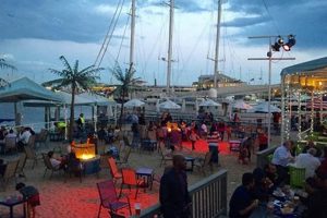 Surf City Vibe: Jersey City Photos & More! Learn to Surf & Skate: A Beginner's Step-by-Step Guide Surf City Vibe: Jersey City Photos & More! | Learn to Surf & Skate: A Beginner's Step-by-Step Guide