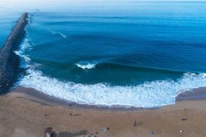 Your Wedge Newport Beach Surf Report: [Time/Date] Update | Learn to Surf & Skate: A Beginner's Step-by-Step Guide