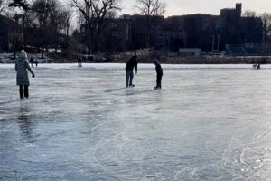 Buy Ice Skates Glen Ellyn: Find Your Perfect Skates! Learn to Surf & Skate: A Beginner's Step-by-Step Guide Buy Ice Skates Glen Ellyn: Find Your Perfect Skates! | Learn to Surf & Skate: A Beginner's Step-by-Step Guide