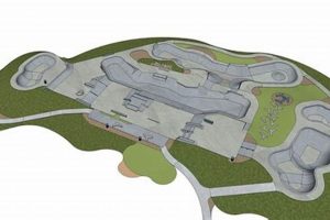 Explore Frederick Skate Park: Your Ultimate Guide + More! Learn to Surf & Skate: A Beginner's Step-by-Step Guide Explore Frederick Skate Park: Your Ultimate Guide + More! | Learn to Surf & Skate: A Beginner's Step-by-Step Guide