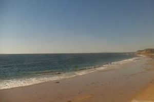 Your Crystal Cove Surf Report: [Conditions & Forecast] | Learn to Surf & Skate: A Beginner's Step-by-Step Guide