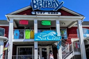 Your Guide to Bethany Beach Surf Shop: Rentals & More! Learn to Surf & Skate: A Beginner's Step-by-Step Guide Your Guide to Bethany Beach Surf Shop: Rentals & More! | Learn to Surf & Skate: A Beginner's Step-by-Step Guide