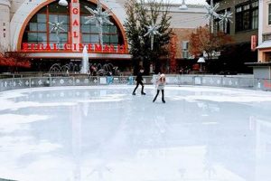 Avalon Ice Skate: Find the Best Skates & More! Learn to Surf & Skate: A Beginner's Step-by-Step Guide Avalon Ice Skate: Find the Best Skates & More! | Learn to Surf & Skate: A Beginner's Step-by-Step Guide