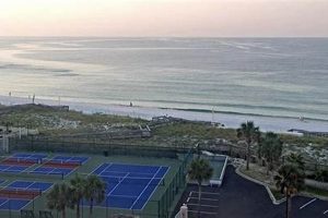 New Smyrna Beach FL Surf Report: [Today's Conditions] | Learn to Surf & Skate: A Beginner's Step-by-Step Guide