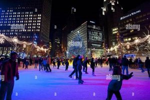 Best Detroit Skate Shops: Find Your Ride, Michigan! Learn to Surf & Skate: A Beginner's Step-by-Step Guide Best Detroit Skate Shops: Find Your Ride, Michigan! | Learn to Surf & Skate: A Beginner's Step-by-Step Guide
