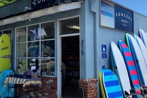 Explore Concept Surf Shops: Your Ultimate Guide Learn to Surf & Skate: A Beginner's Step-by-Step Guide Explore Concept Surf Shops: Your Ultimate Guide | Learn to Surf & Skate: A Beginner's Step-by-Step Guide