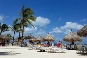 Aruba Surf Club: RedWeek Deals & Savings Awaits! Learn to Surf & Skate: A Beginner's Step-by-Step Guide Aruba Surf Club: RedWeek Deals & Savings Awaits! | Learn to Surf & Skate: A Beginner's Step-by-Step Guide
