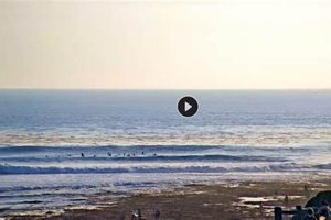 Pleasure Point Surf Cam: Check Live Conditions Now! Learn to Surf & Skate: A Beginner's Step-by-Step Guide Pleasure Point Surf Cam: Check Live Conditions Now! | Learn to Surf & Skate: A Beginner's Step-by-Step Guide