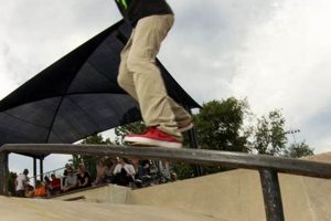 Best Skate Parks in Washington DC: A Local's Guide Learn to Surf & Skate: A Beginner's Step-by-Step Guide Best Skate Parks in Washington DC: A Local's Guide | Learn to Surf & Skate: A Beginner's Step-by-Step Guide