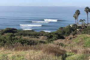 Your Guide: Surf Report Sunset Cliffs - Conditions & Tips Learn to Surf & Skate: A Beginner's Step-by-Step Guide Your Guide: Surf Report Sunset Cliffs - Conditions & Tips | Learn to Surf & Skate: A Beginner's Step-by-Step Guide