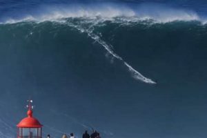 Chasing the World's Largest Surfed Wave Record [Size Guide] | Learn to Surf & Skate: A Beginner's Step-by-Step Guide