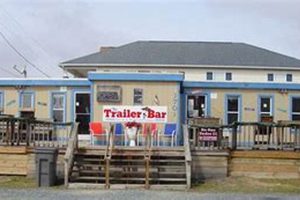 Surf City Trailer Bars: Your Beachside Oasis! Learn to Surf & Skate: A Beginner's Step-by-Step Guide Surf City Trailer Bars: Your Beachside Oasis! | Learn to Surf & Skate: A Beginner's Step-by-Step Guide