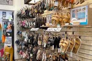 Your Local CB Surf Shop: Boards, Gear & More! | Learn to Surf & Skate: A Beginner's Step-by-Step Guide