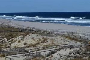Belmar Surf Report NJ: Latest Waves &amp; Tides [Today] | Learn to Surf & Skate: A Beginner's Step-by-Step Guide