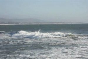Princeton Jetty Surf Report: Conditions + Tips! Learn to Surf & Skate: A Beginner's Step-by-Step Guide Princeton Jetty Surf Report: Conditions + Tips! | Learn to Surf & Skate: A Beginner's Step-by-Step Guide