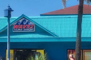 Your Waves Surf Shop: Gear Up & Shred! | Learn to Surf & Skate: A Beginner's Step-by-Step Guide