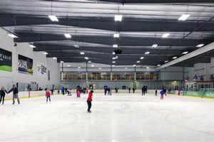 Best Ice Skate Fort Wayne: Rinks, Lessons & More! Learn to Surf & Skate: A Beginner's Step-by-Step Guide Best Ice Skate Fort Wayne: Rinks, Lessons & More! | Learn to Surf & Skate: A Beginner's Step-by-Step Guide