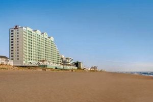 Find Surf City Oceanfront Hotels: Your Surf Paradise Learn to Surf & Skate: A Beginner's Step-by-Step Guide Find Surf City Oceanfront Hotels: Your Surf Paradise | Learn to Surf & Skate: A Beginner's Step-by-Step Guide
