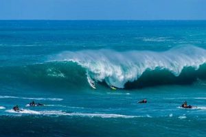 Your Waimea Bay Surf Report: [Conditions & Forecast] | Learn to Surf & Skate: A Beginner's Step-by-Step Guide