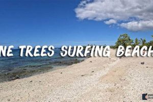 Discover Pine Trees Surfing Beach: Coastal Paradise! Learn to Surf & Skate: A Beginner's Step-by-Step Guide Discover Pine Trees Surfing Beach: Coastal Paradise! | Learn to Surf & Skate: A Beginner's Step-by-Step Guide