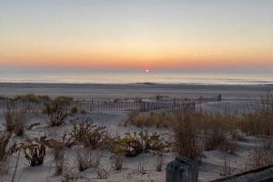 Explore the Borough of Surf City, NJ: Your Beach Guide Learn to Surf & Skate: A Beginner's Step-by-Step Guide Explore the Borough of Surf City, NJ: Your Beach Guide | Learn to Surf & Skate: A Beginner's Step-by-Step Guide