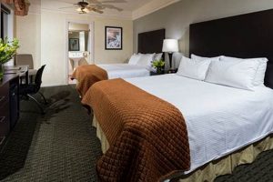 Your Willow's Hotel: Surf Street Chicago Stay! Learn to Surf & Skate: A Beginner's Step-by-Step Guide Your Willow's Hotel: Surf Street Chicago Stay! | Learn to Surf & Skate: A Beginner's Step-by-Step Guide