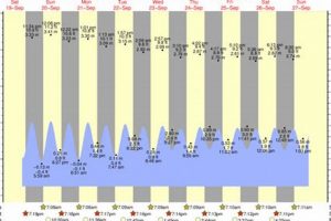 Deerfield Beach Surf: Expert Forecast + Tides & Wind Learn to Surf & Skate: A Beginner's Step-by-Step Guide Deerfield Beach Surf: Expert Forecast + Tides & Wind | Learn to Surf & Skate: A Beginner's Step-by-Step Guide