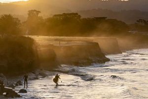 Discover the Ultimate Surfer's Beach: [Location] Guide | Learn to Surf & Skate: A Beginner's Step-by-Step Guide