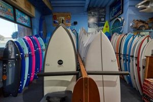 VB Surf Shop Guide: Virginia Beach Surf Shops & Gear Learn to Surf & Skate: A Beginner's Step-by-Step Guide VB Surf Shop Guide: Virginia Beach Surf Shops & Gear | Learn to Surf & Skate: A Beginner's Step-by-Step Guide