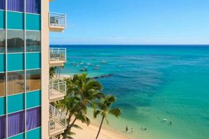 Your Waikiki Surf Hotel: Find the Best Deals! Learn to Surf & Skate: A Beginner's Step-by-Step Guide Your Waikiki Surf Hotel: Find the Best Deals! | Learn to Surf & Skate: A Beginner's Step-by-Step Guide