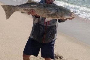 OBX Surf Fishing: North Carolina Outer Banks Reports & Tips Learn to Surf & Skate: A Beginner's Step-by-Step Guide OBX Surf Fishing: North Carolina Outer Banks Reports & Tips | Learn to Surf & Skate: A Beginner's Step-by-Step Guide
