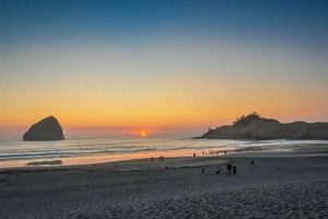 Your Guide to Pacific City Oregon Surfing Fun Learn to Surf & Skate: A Beginner's Step-by-Step Guide Your Guide to Pacific City Oregon Surfing Fun | Learn to Surf & Skate: A Beginner's Step-by-Step Guide