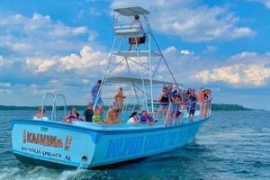 Book Surf's Up Dolphin Cruises in Orange Beach, AL! Learn to Surf & Skate: A Beginner's Step-by-Step Guide Book Surf's Up Dolphin Cruises in Orange Beach, AL! | Learn to Surf & Skate: A Beginner's Step-by-Step Guide