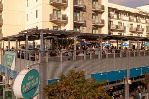 Your Guide: Surf Club Oceanside Experiences & More! Learn to Surf & Skate: A Beginner's Step-by-Step Guide Your Guide: Surf Club Oceanside Experiences & More! | Learn to Surf & Skate: A Beginner's Step-by-Step Guide