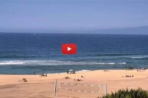 Manhattan Beach Surf Cam Views: Your Surf Report! Learn to Surf & Skate: A Beginner's Step-by-Step Guide Manhattan Beach Surf Cam Views: Your Surf Report! | Learn to Surf & Skate: A Beginner's Step-by-Step Guide